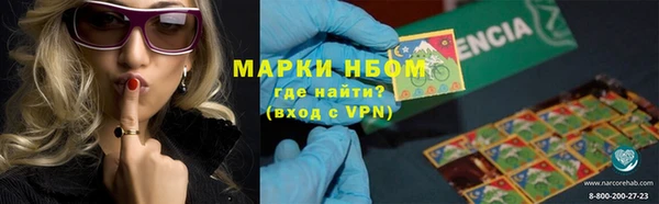гидра Абаза