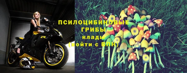 гидра Абаза