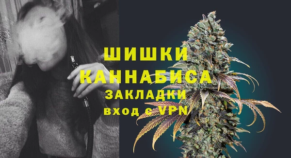 гидра Абаза