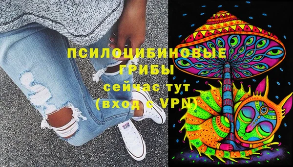 гидра Абаза