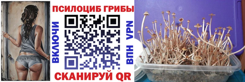 Псилоцибиновые грибы Magic Shrooms  Нелидово 